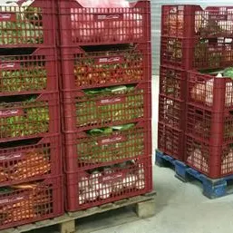 Es posa en marxa una central de compres de productes hortícoles del Maresme