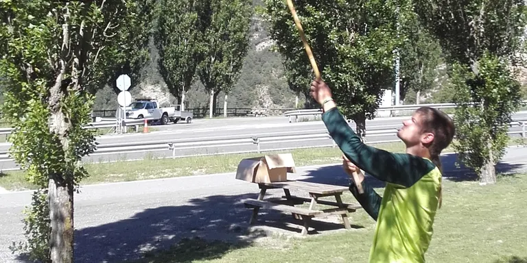 El Parc Natural del Cadí-Moixeró instal·la una trentena de trampes per reduir la població de processionària del pi