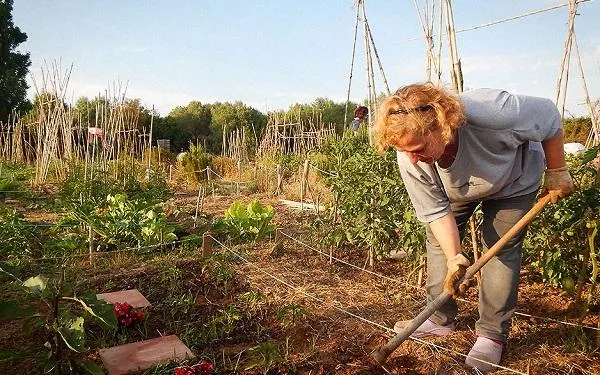 Foto: Hort de la Sínia