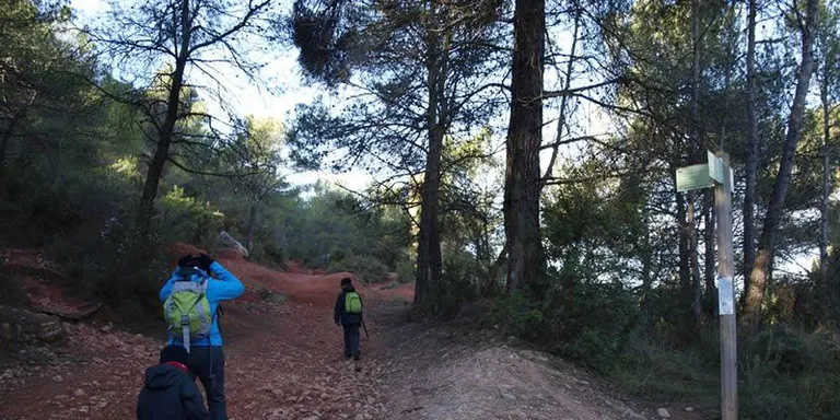 L’Ajuntament adequarà abans de l’estiu els camins forestals del terme municipal per garantir l’accés dels vehicles d’extinció d’incendis