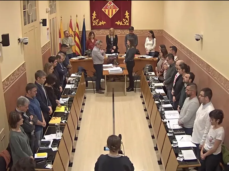 Ple ordinari del mes de febrer 2020