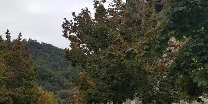Habilitades a la Seu 13 places temporals d’aparcament per a persones amb mobilitat reduïda