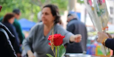 Els llibres i les roses tornen a la rambla Joan Maragall