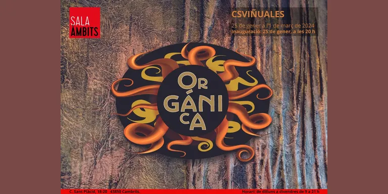 La mostra ‘Orgànica’ de CSViñuales s’inaugura avui al Centre Cultural de Cambrils