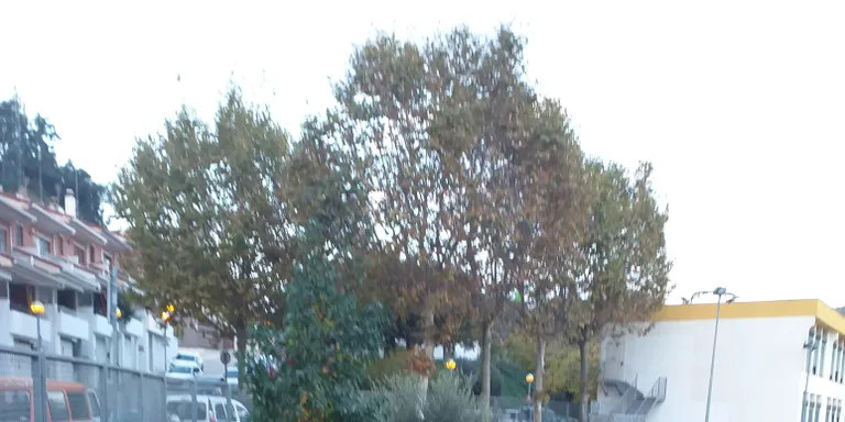 L’ajuntament d’Arenys de Munt ha començat aquesta setmana amb la primera part de l’enjardinament de la pista municipal