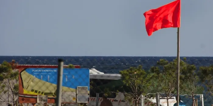 Proactiva finalitza el servei amb més intervencions respecte a l’any passat