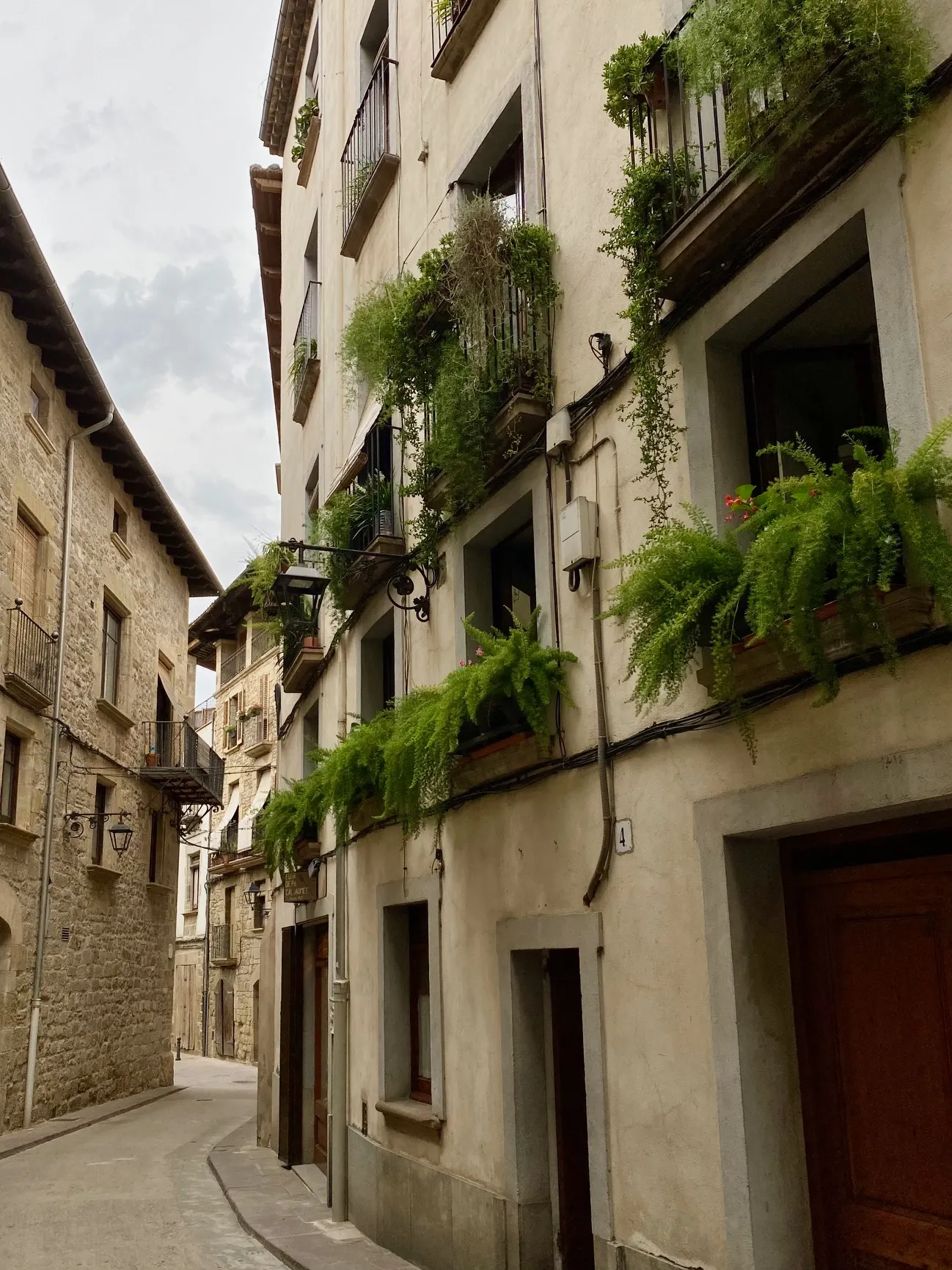 Dilluns s’obren les inscripcions al 36è Concurs de flors als balcons