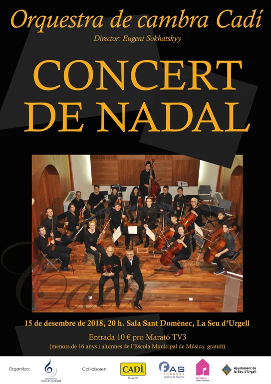 Concert de Nadal a la Seu de l'Orquestra de Cambra Cadí