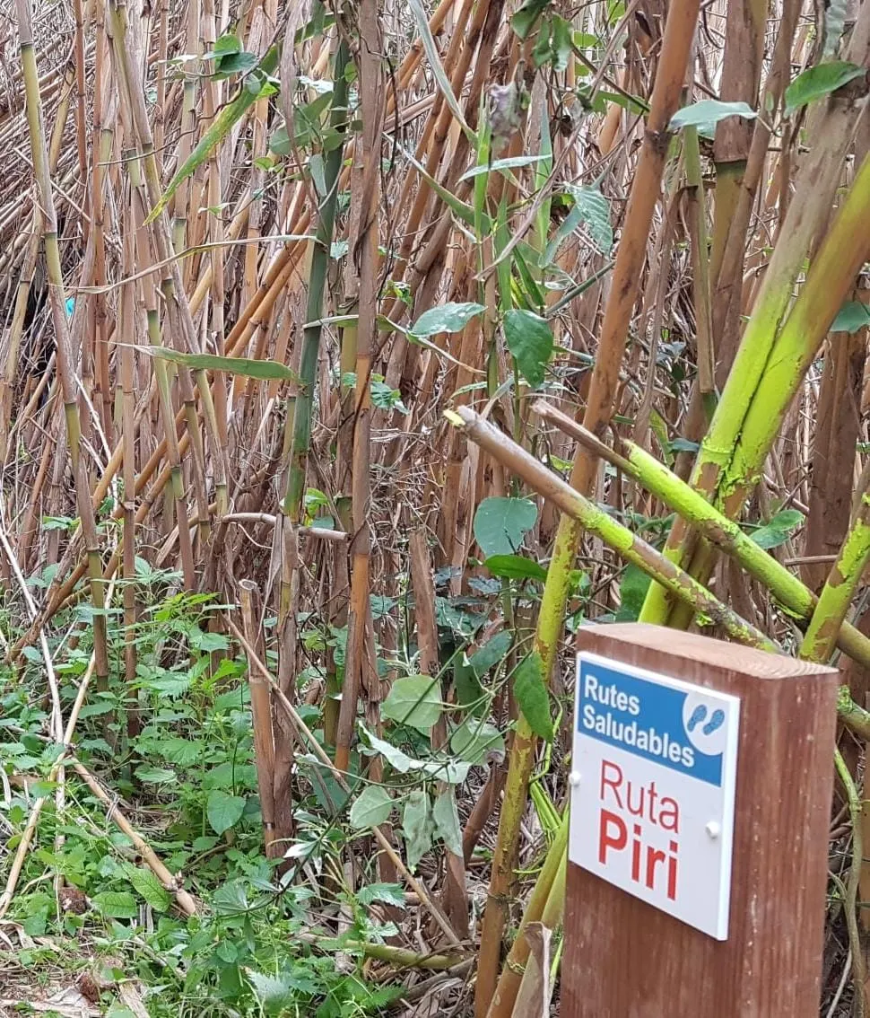 ‘Crònica’ de 4.04.2022