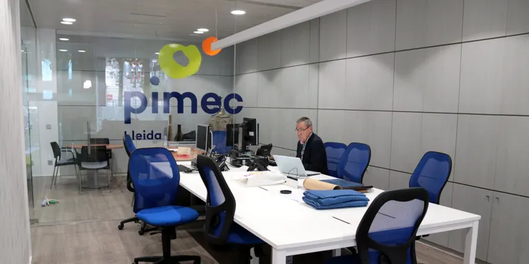 Les pimes de la demarcació de Lleida evolucionen positivament des del 2013