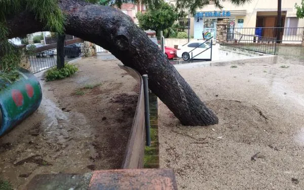 Foto: Altafulla Ràdio