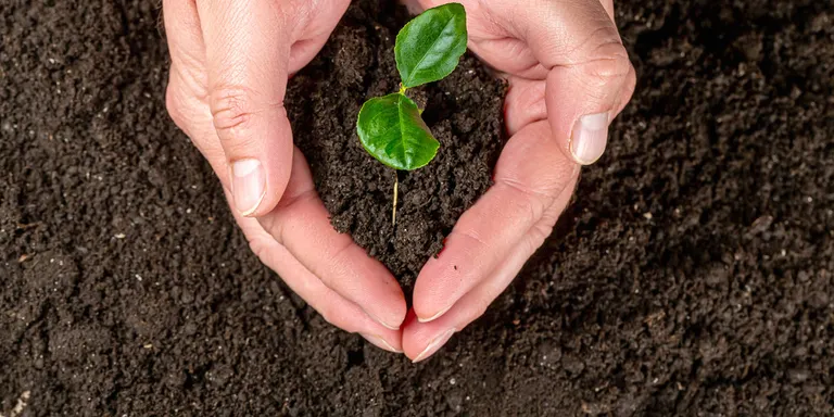 El Compost de l'Urgellet esdevé marca registrada de fertilitzants