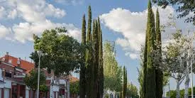 Valls tindrà parcs de salut a diferents barris de la ciutat