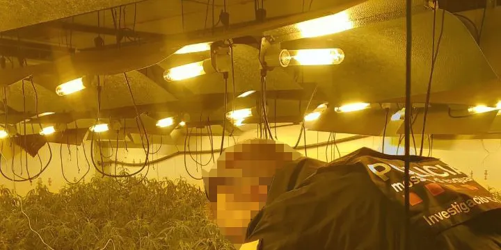 Els Mossos d'Esquadra desmantellen una plantació de marihuana en una nau industrial de Tarragona