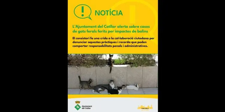 El Catllar alerta de l’atac als gats de carrer