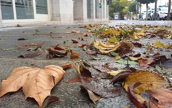 Foto: Altafulla Ràdio