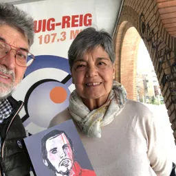 Novela historica