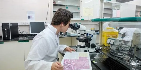 La URV oferirà el grau en Farmàcia a partir del curs 2027-28