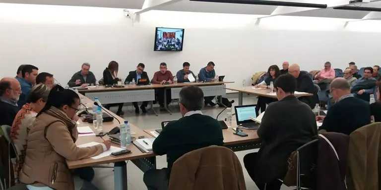 El ple pinedenc aprova els comptes de la societat municipal Via a Punt SL