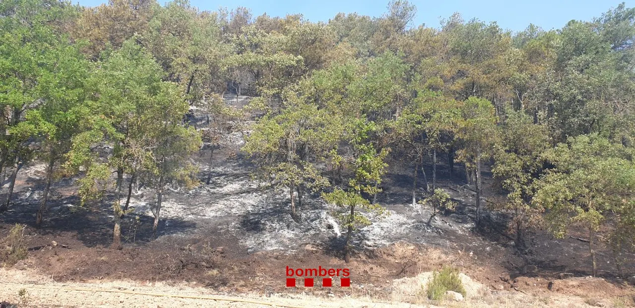 Controlat l'incendi de Castellar de la Ribera