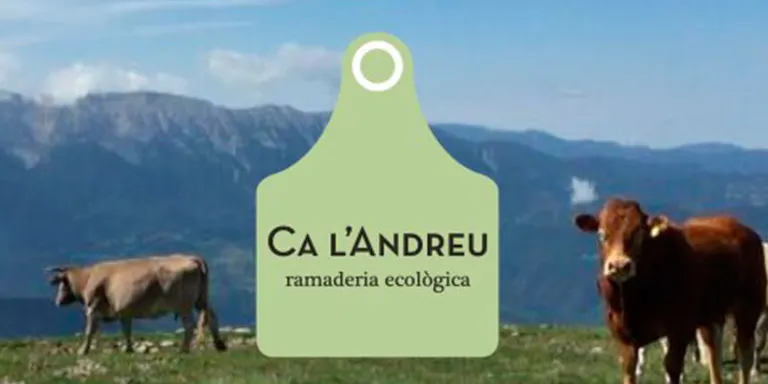 L'explotació de ramaderia ecològica Ca l'Andreu d'Alàs ofereix visites guiades