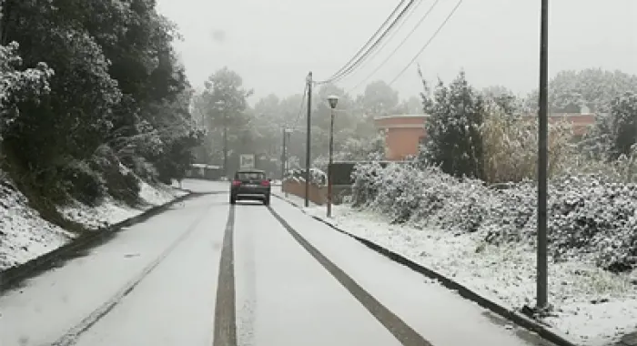 La neu ha enfarinat Collsacreu (foto: Elena Cots)