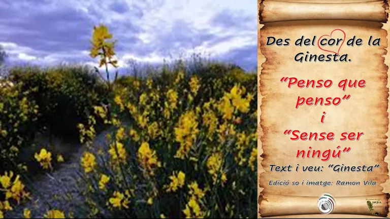 Des del cor de la “Ginesta”, avui: “Penso que penso” i “Sense ser ningú”