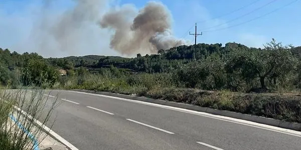 Declarat un incendi forestal a Vespella de Gaià que obliga a tallar l'R-13 entre Salomó i Roda de Berà