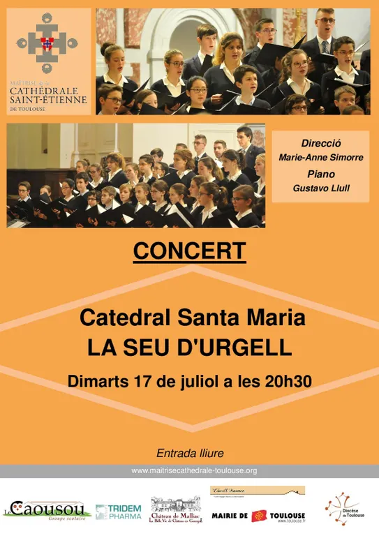 Concert a la Seu d'Urgell del cor infantil de la Catedral de Tolosa de Llenguadoc