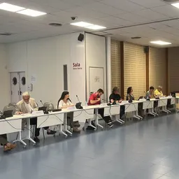 Plens Municipals del 29/07/2021 - episode art