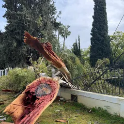 Meteo Utrera analiza la situación meteorológica en COPE Utrera - episode art