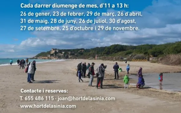 Les visites guiades a l'entorn de Tamarit tornen aquest diumenge amb èxit de participació
