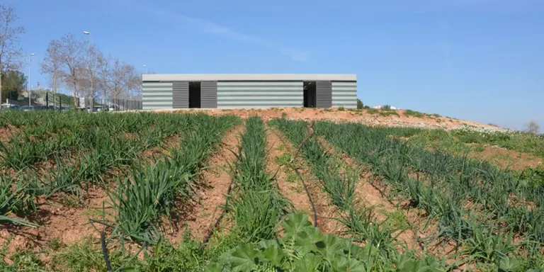 Mig centenar de rubinencs s’interessen per les parcel·les dels horts municipals de Cova Solera