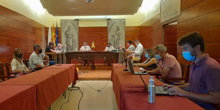 El Ple de Solsona dona el tret de sortida simbòlic a l'Any Roure