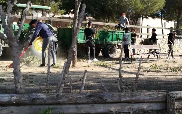 Foto: PTT Altafulla