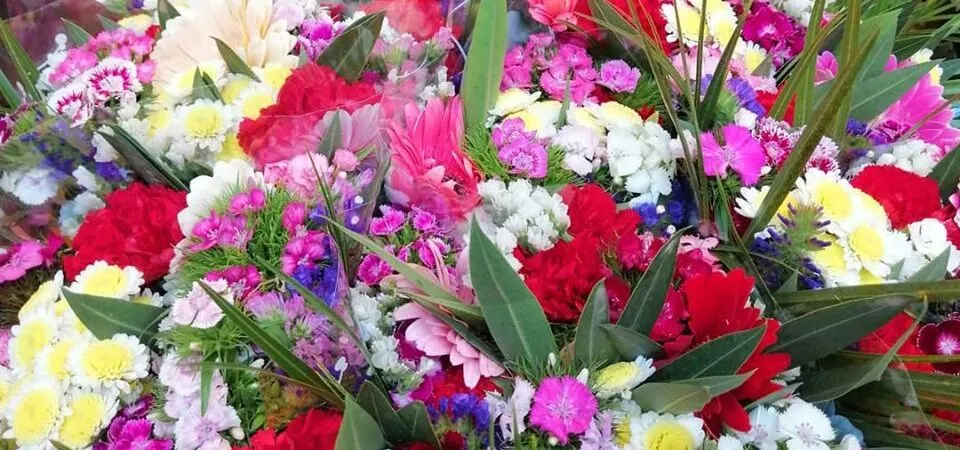 Obert el termini per demanar els ajuts econòmics del Departament d’Agricultura al sector de flor tallada i planta ornamental