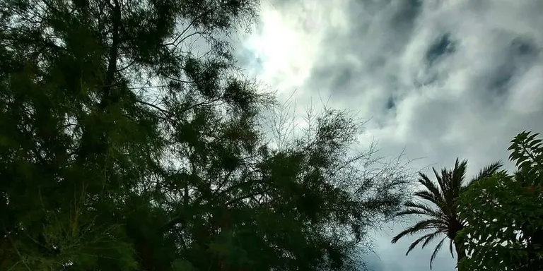 Calor i xafogor intensa