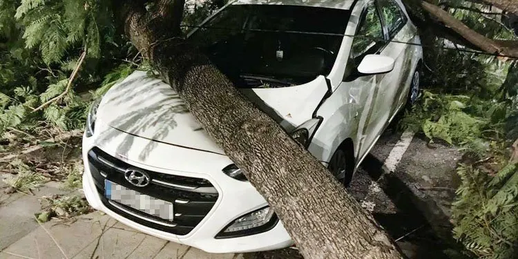 Un abogado explica en COPE Utrera cómo reclamar los daños provocados por el temporal de viento
