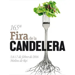 Pregó obertura Fira Candelera del 29/1/2016 - episode art