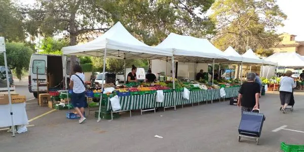 El mercat setmanal d'Altafulla es trasllada a la Fassina a partir de dimarts vinent
