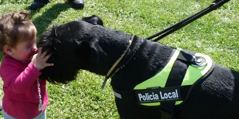 Ha mort Danko, un gos de la unitat canina de la Policia Local