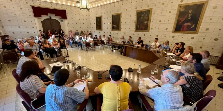 El ple de la Seu aprova parcialment una moció de condemna de les ocupacions