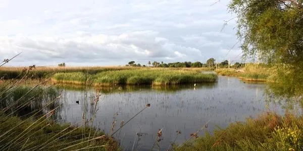 El camí Cal Bofill - Baix a Mar - Els Muntanyans torna a rebre el segell de Sender Blau