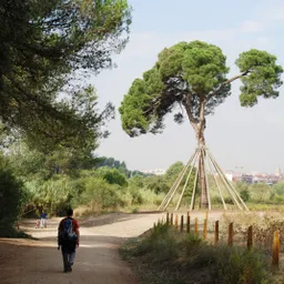 #585 - De finde pel Vallès a 'Un dia en família a Sant Cugat' - episode art