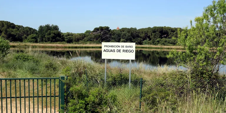 Mor ofegat un menor de 9 anys en una bassa a Terrassa