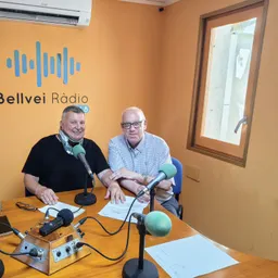 BELLVEI EN SINTONIA UN PROGRAMA D'ENTREVISTES DIVERSES - episode art