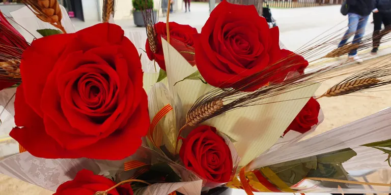 Torna el Sant Jordi amb més força i el temps ha respectat força la jornada