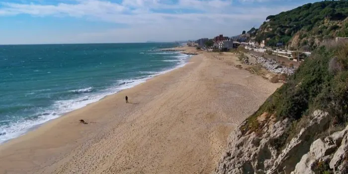 L’Associació de Guinguetaires d’Arenys de Mar s’oposa a la ubicació d’una platja per a gossos a la Musclera