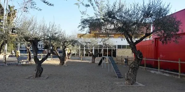 L'Ajuntament de Torredembarra impulsa un projecte per mitigar l'efecte illa de calor en tres espais públics del municipi