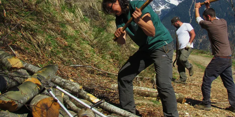 El Projecte Boscos de Muntanya obre les inscripcions